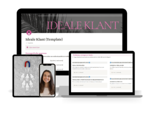 Notion Ideale Klant Template